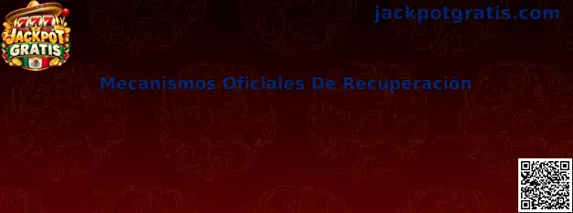 Mecanismos Oficiales De Recuperación